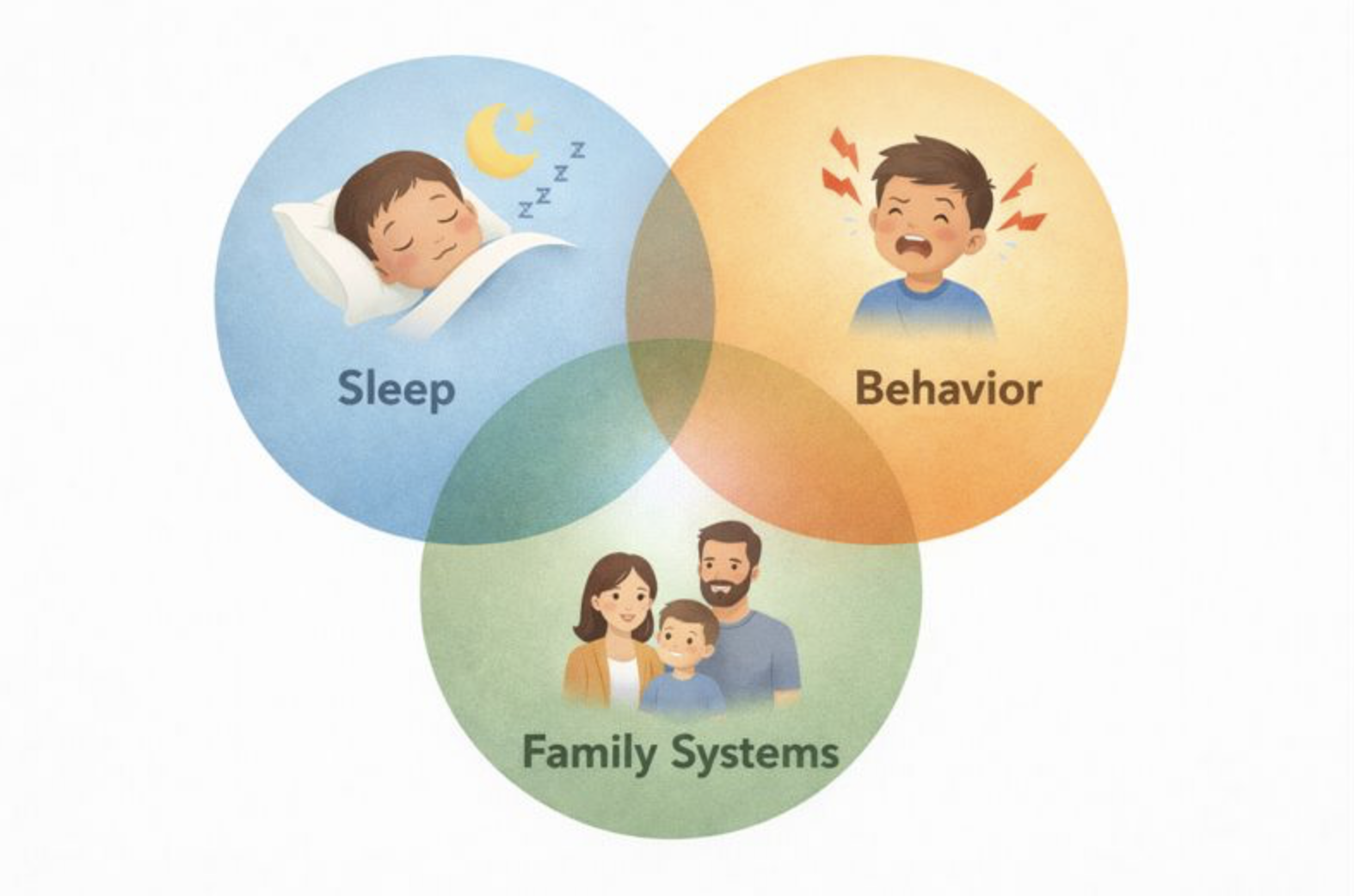 sleep certification for bcbas